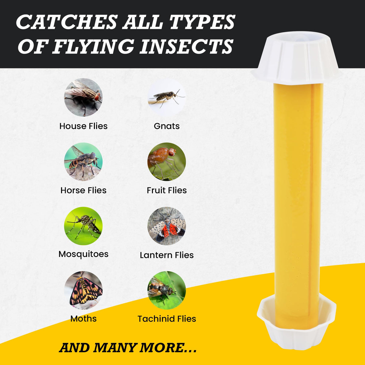 TwinTech Hanging Sticky Fly Traps | Sticky Fly Traps for Outdoors & Indoors to Control House Flies, Moths, & Other Flying Insects | Disposable and Easy-to-Use with Strong Stickiness | Pack of 4