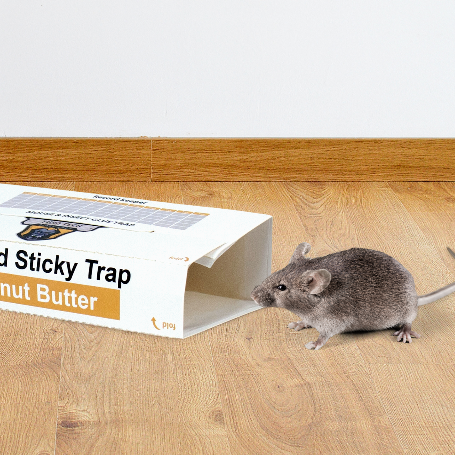 Mouse Traps