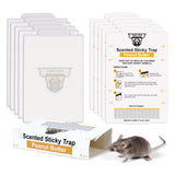 glue traps mice sticky rats indoor home pads tomcat pega ratones boards extra strength pegamento pest rodent insect house