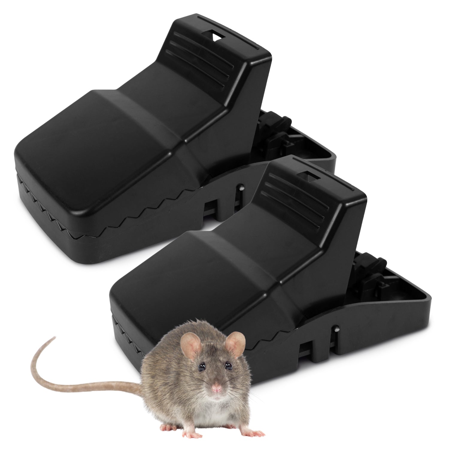 best mouse trap tomcat press set jawz dizzy dunker indoor home snap no kill feeke see walk plank rats motel victory lethal