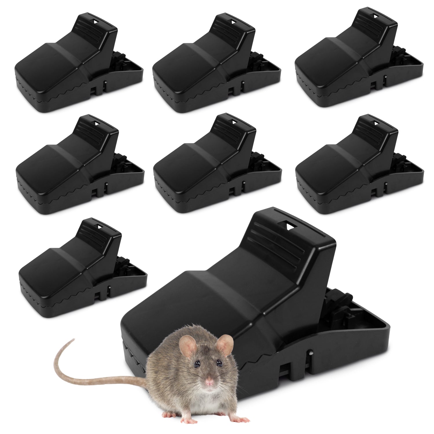 best mouse trap tomcat press set jawz dizzy dunker indoor home snap no kill feeke see walk plank rats motel victory lethal